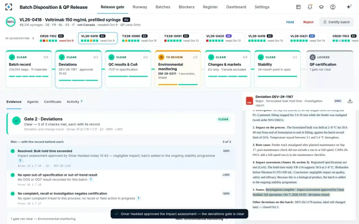 Batch Disposition & QP Release — Re-checked and clear