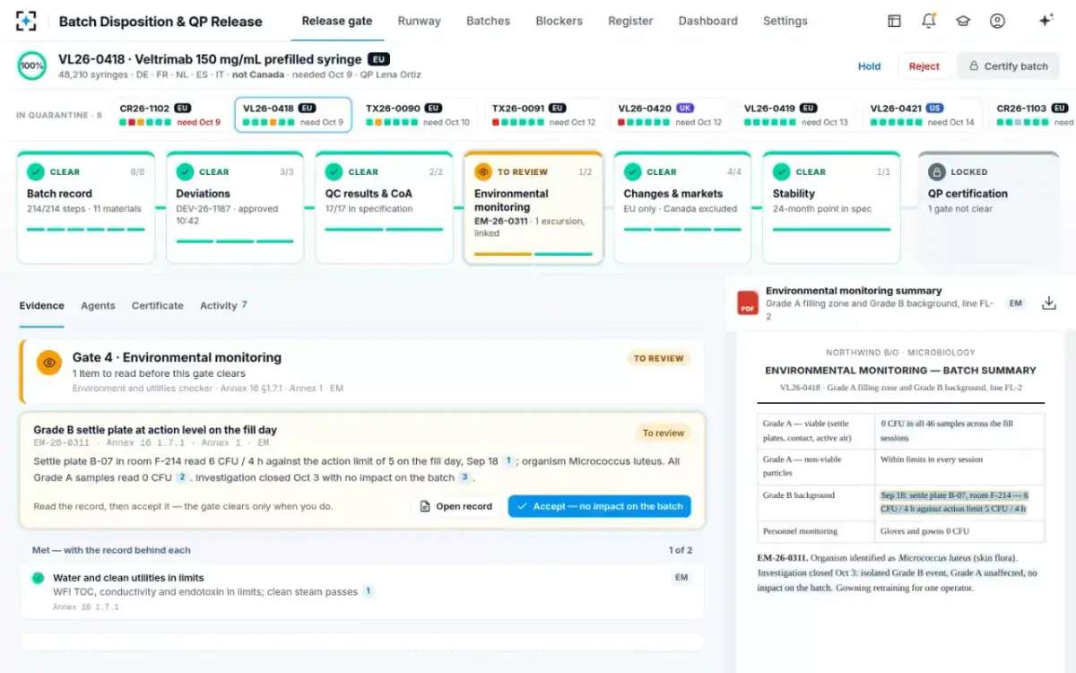 Batch Disposition & QP Release — An item to review