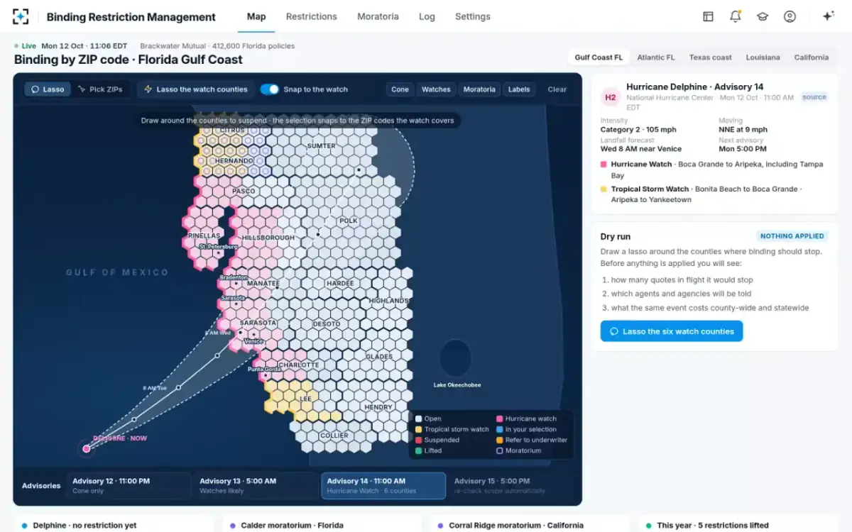 Binding Restriction Management — The advisory, mapped