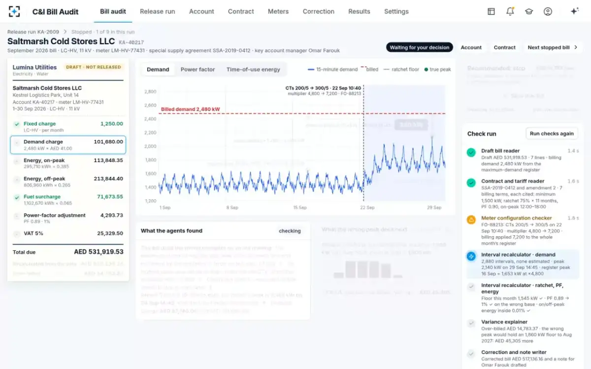 C&I Bill Audit — The check run