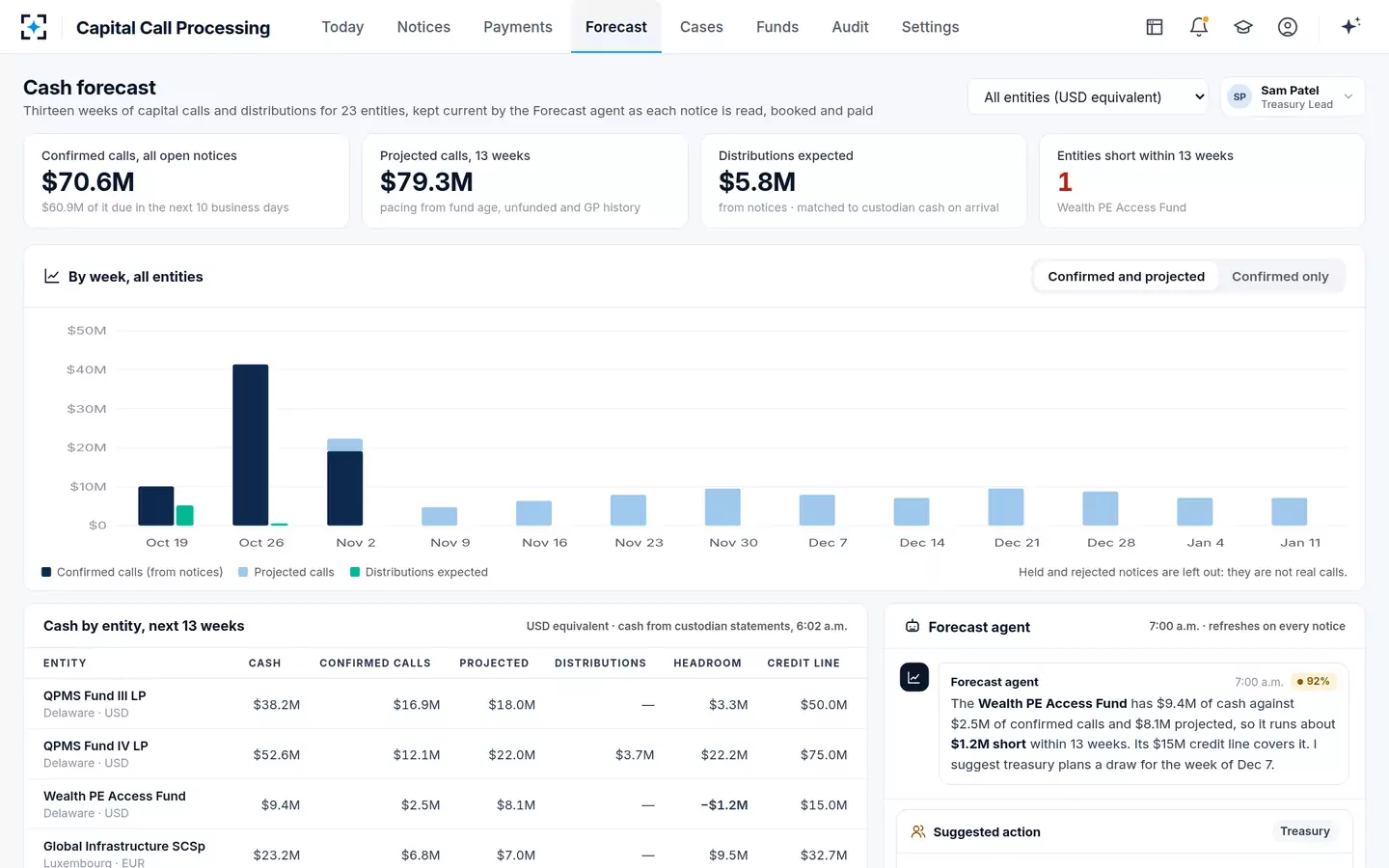 Capital Call Processing — 13-week cash forecast