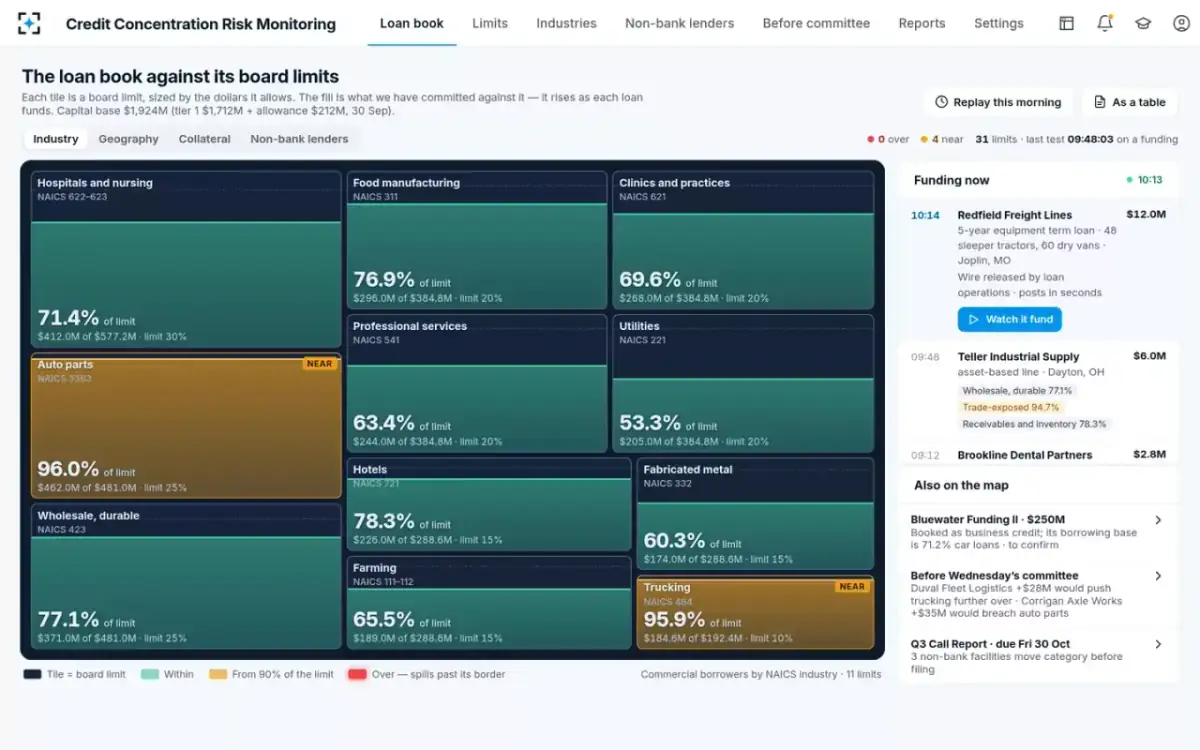Credit Concentration Risk Monitoring — The loan book against its limits