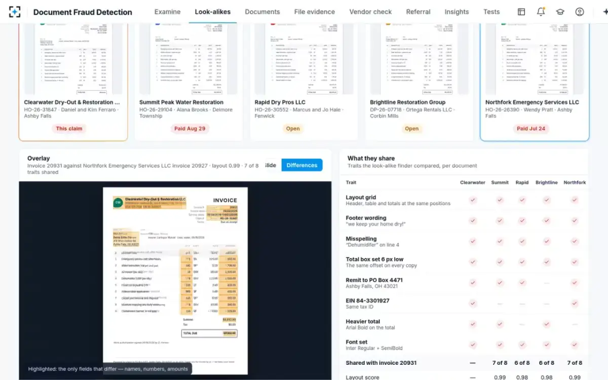 Document Fraud Detection — Overlay and shared traits