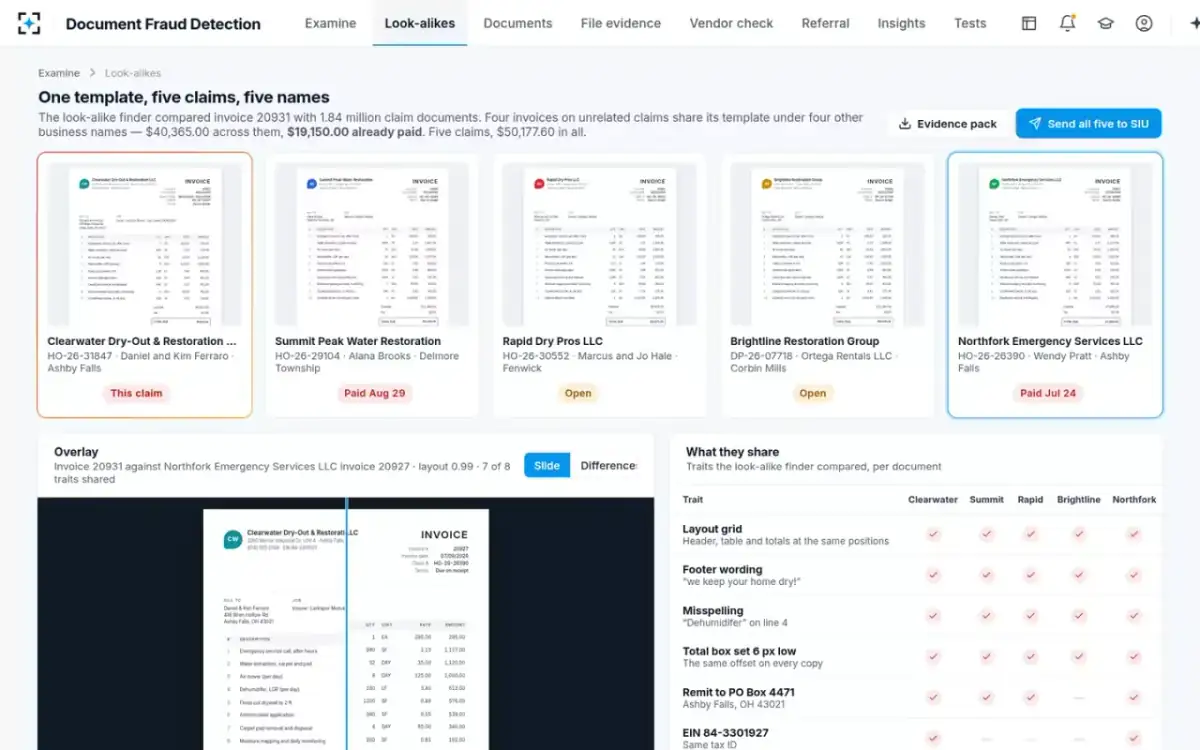 Document Fraud Detection — Look-alikes