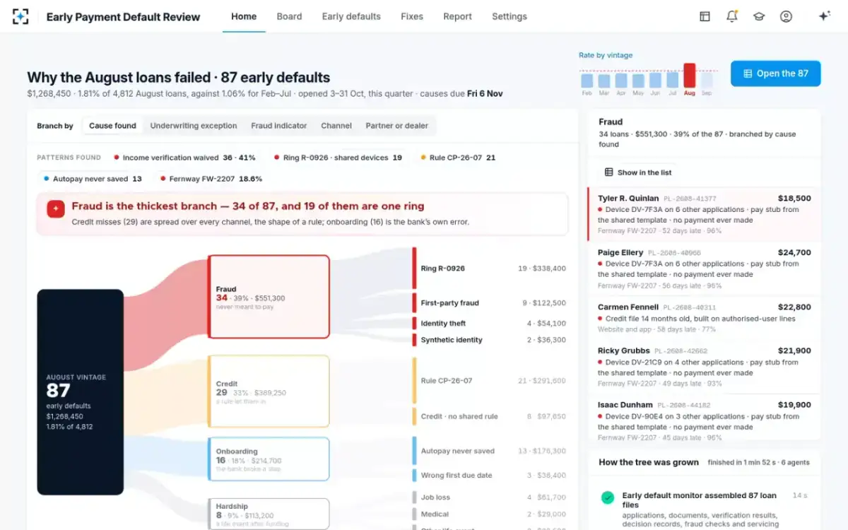 Early Payment Default Review — Branched by cause