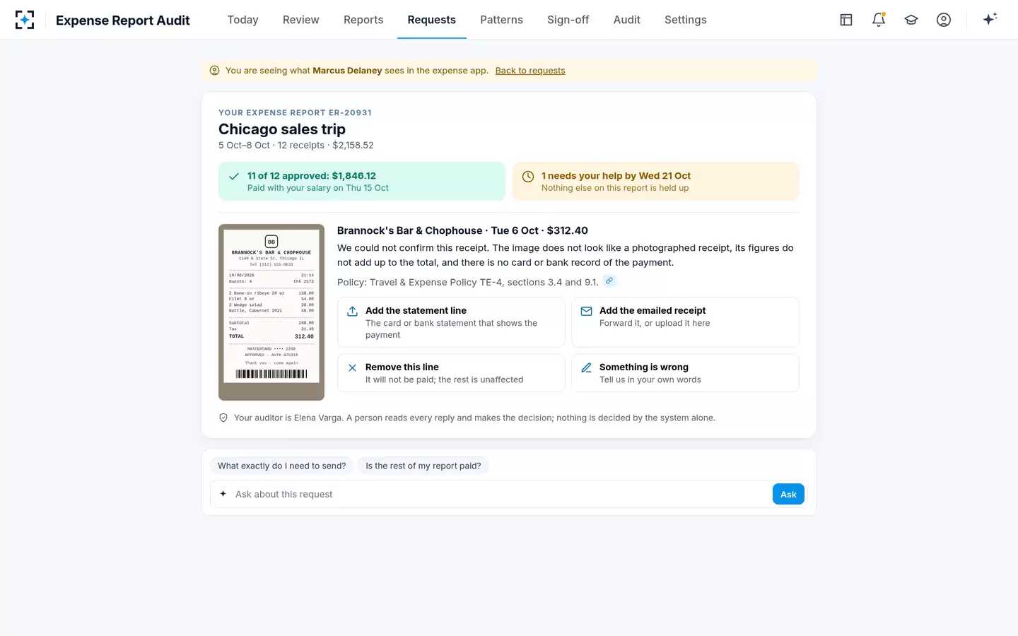 Expense Report Audit — What the employee sees