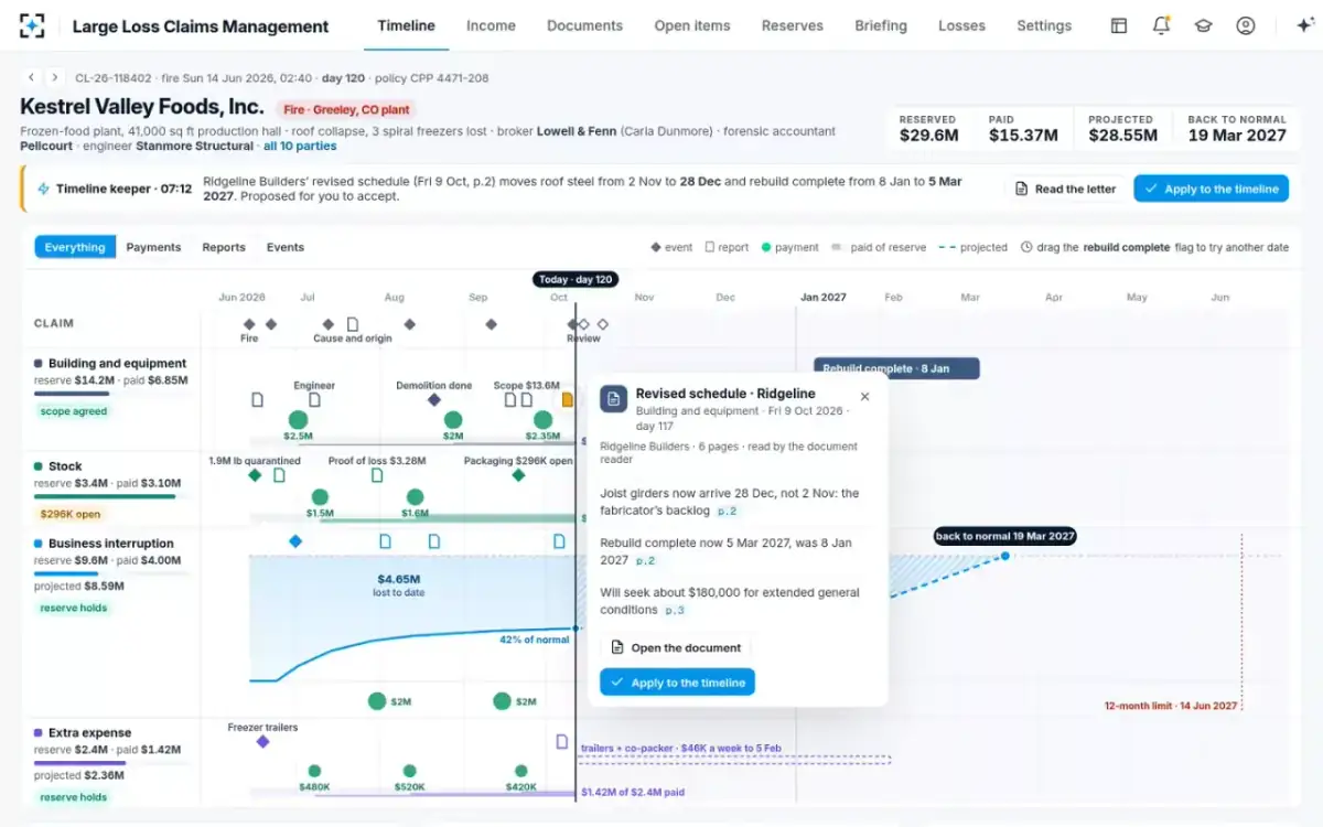 Large Loss Claims Management — A document on its lane