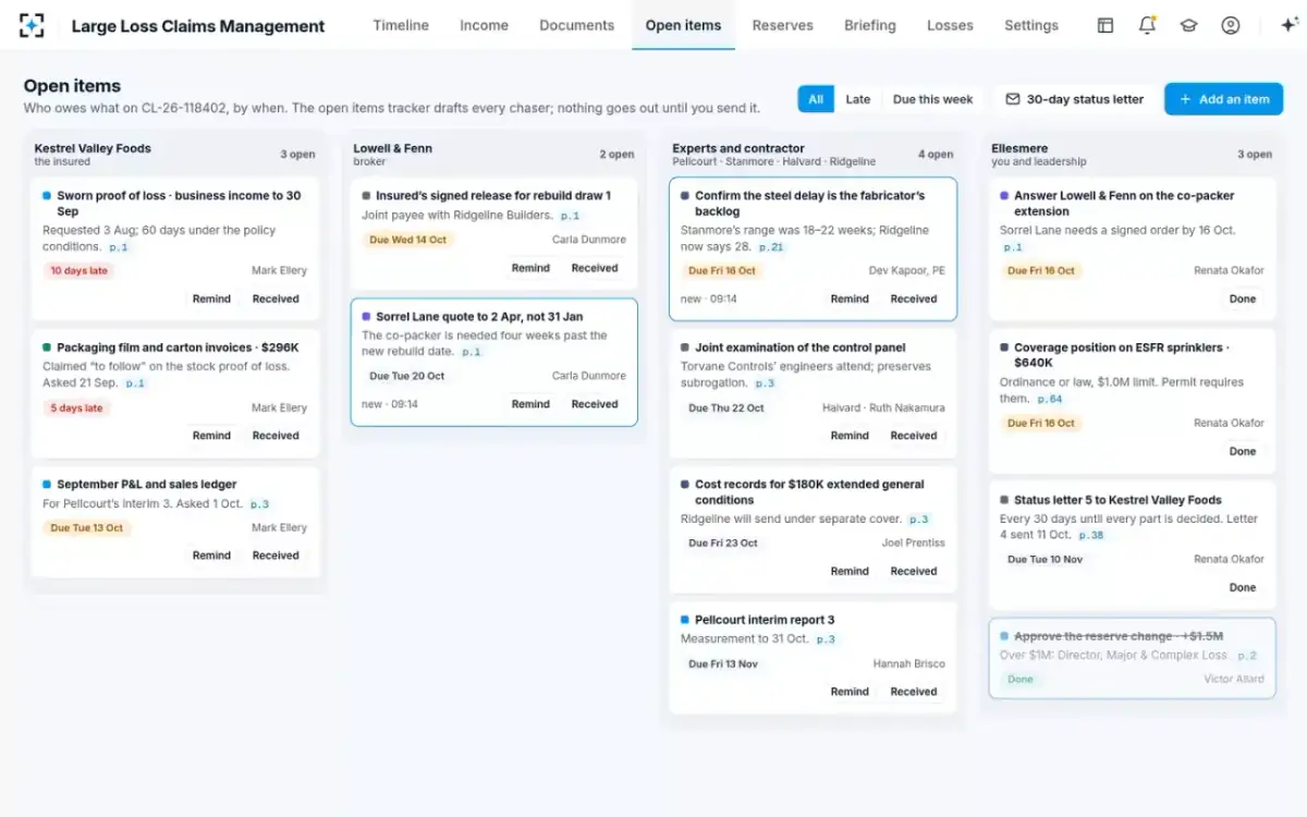 Large Loss Claims Management — Open items
