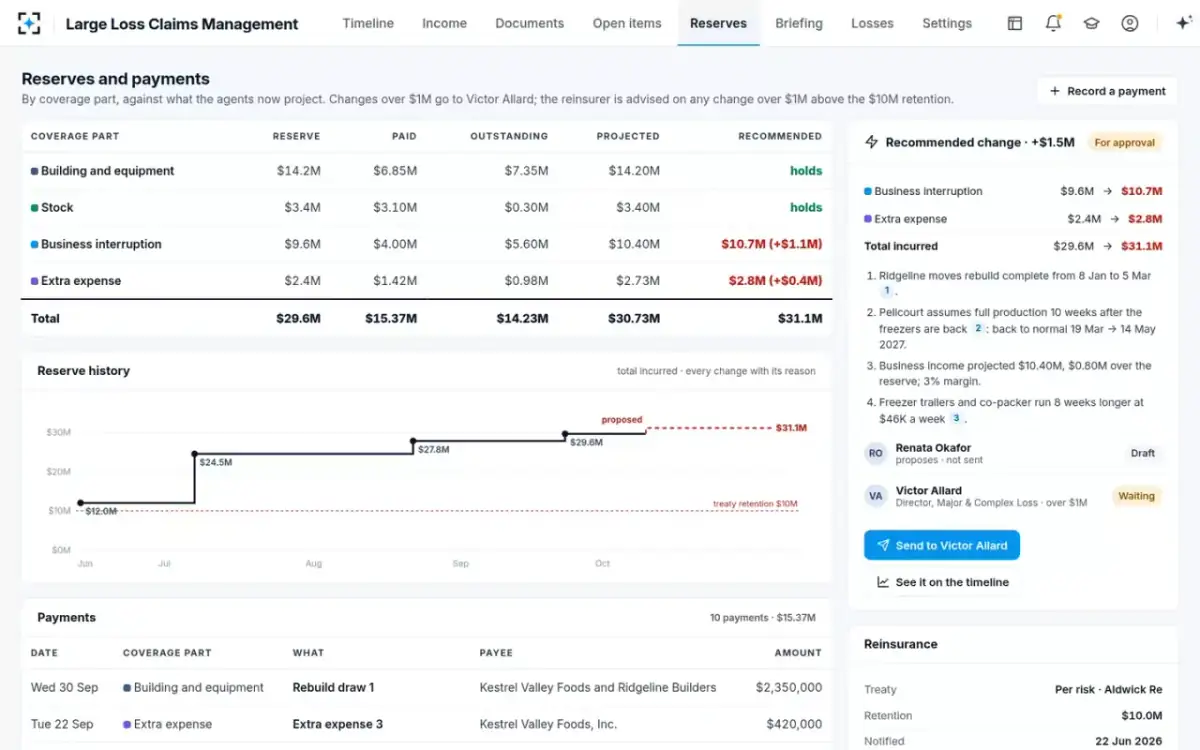 Large Loss Claims Management — Reserves and payments