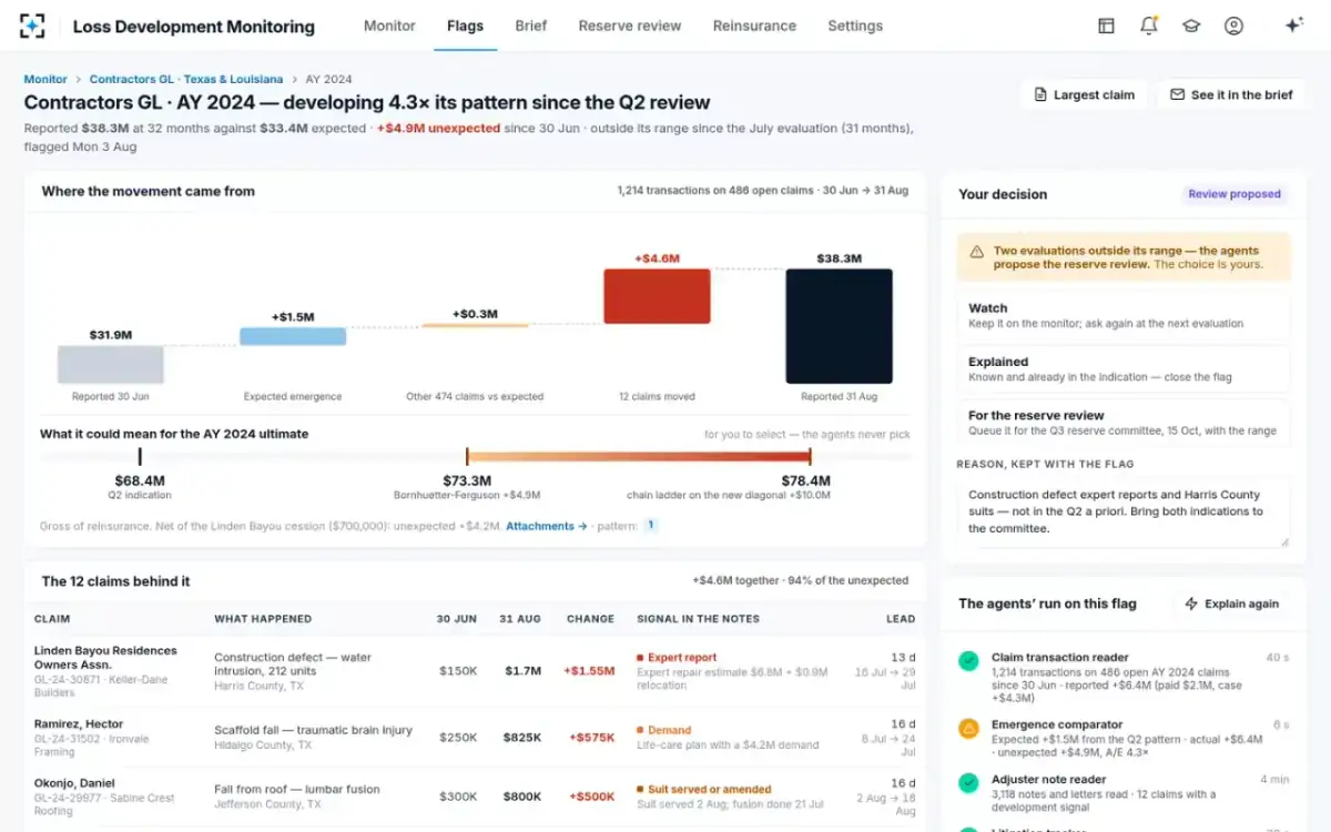 Loss Development Monitoring — The flag