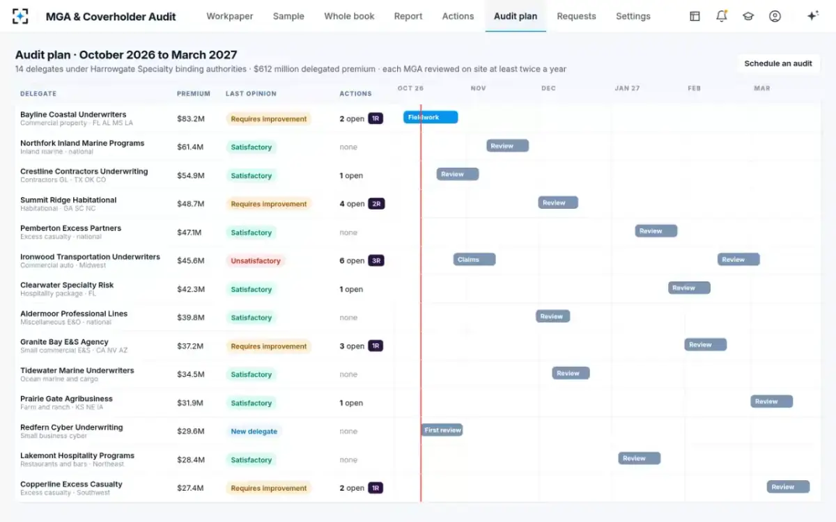 MGA & Coverholder Audit — The audit plan