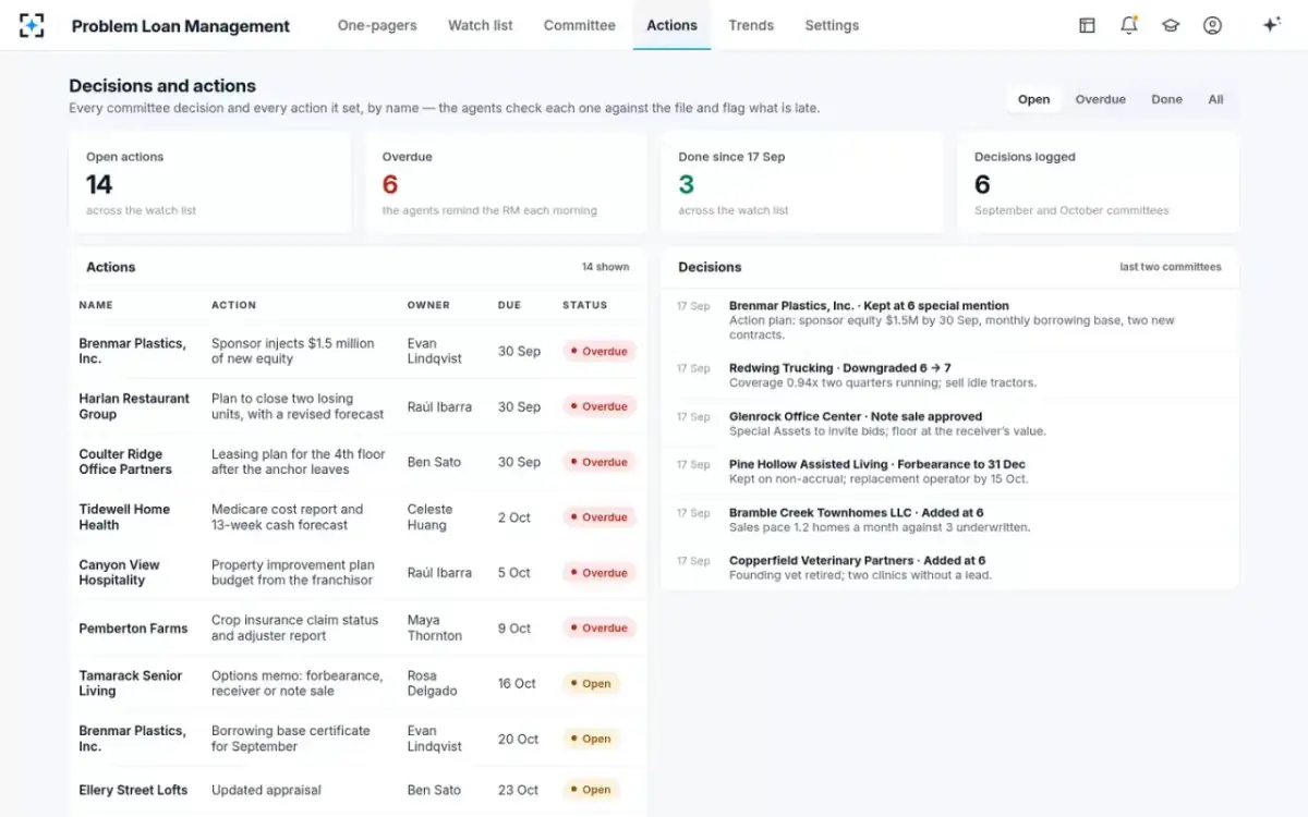 Problem Loan Management — Decisions and actions