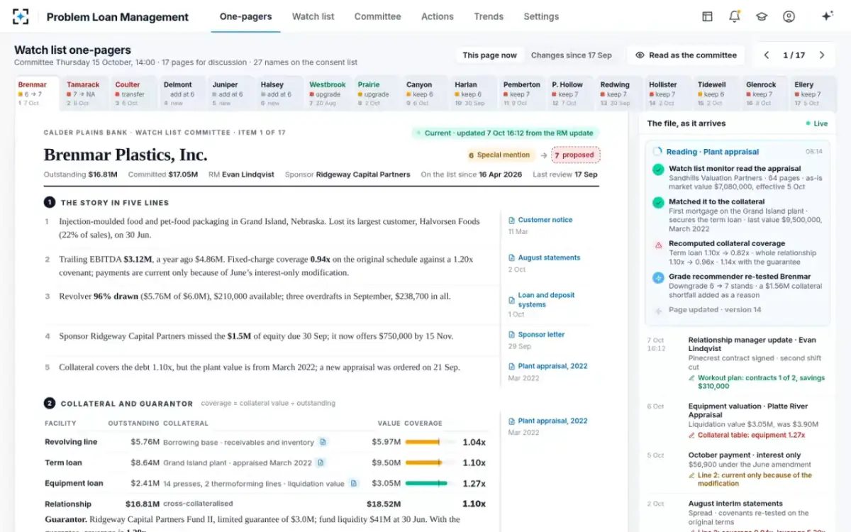 Problem Loan Management — A document arrives