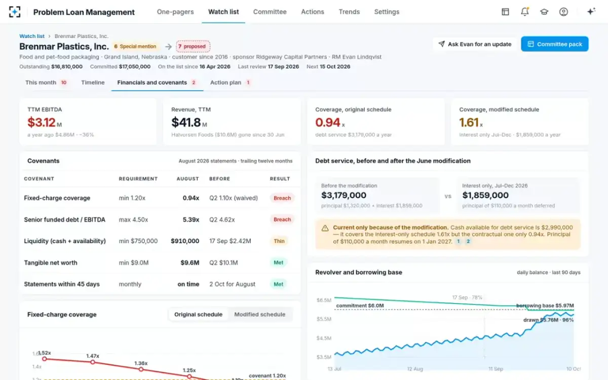 Problem Loan Management — Financials and covenants