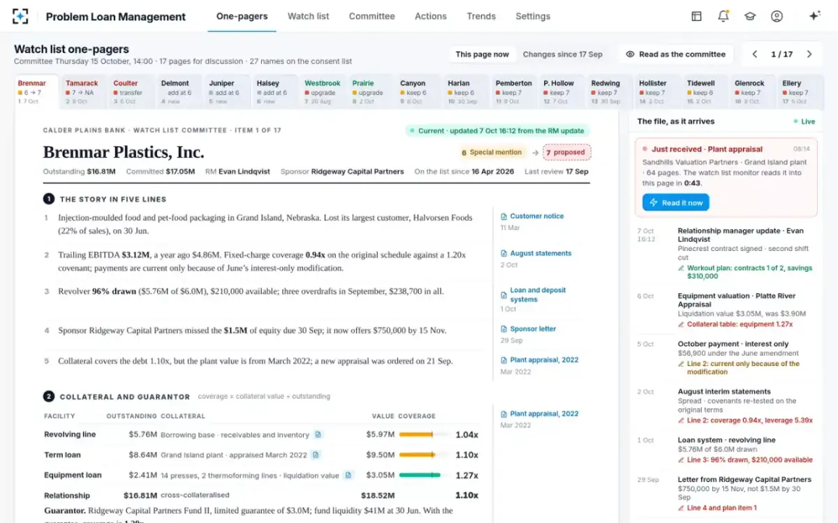 Problem Loan Management — The one-pagers