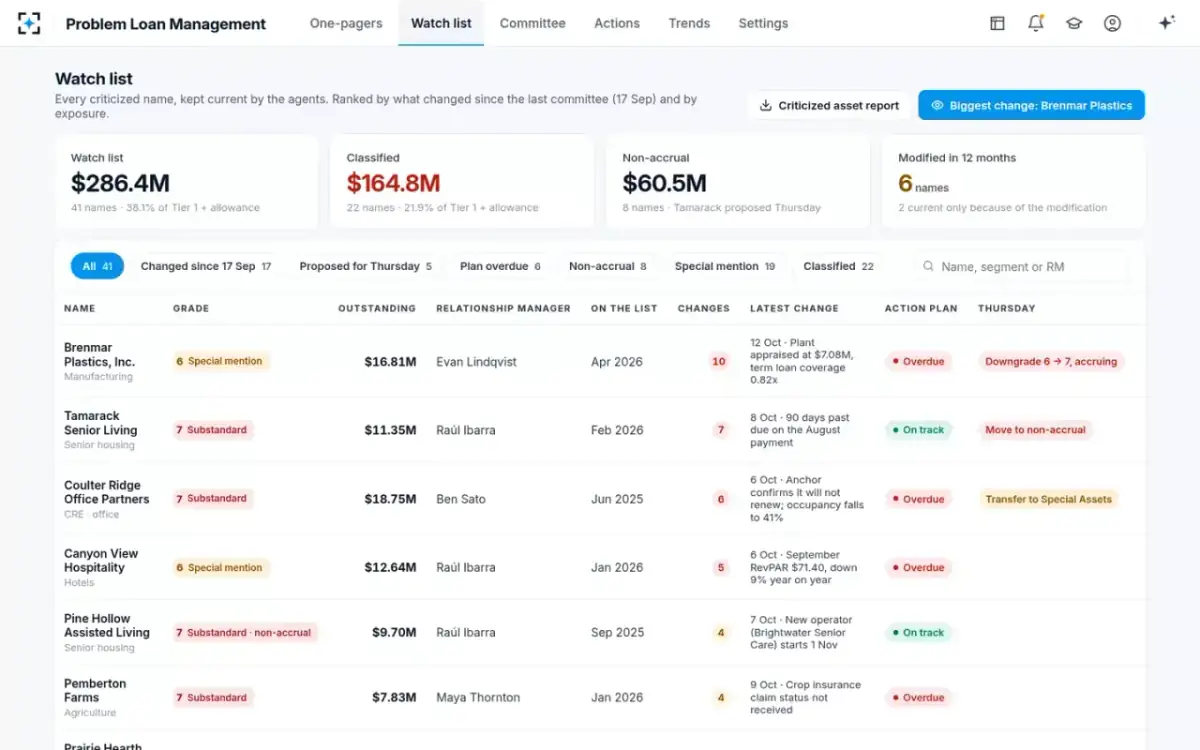 Problem Loan Management — The watch list