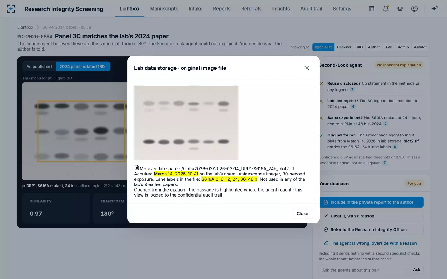 Research Integrity Screening — The original western blot image, found in lab storage