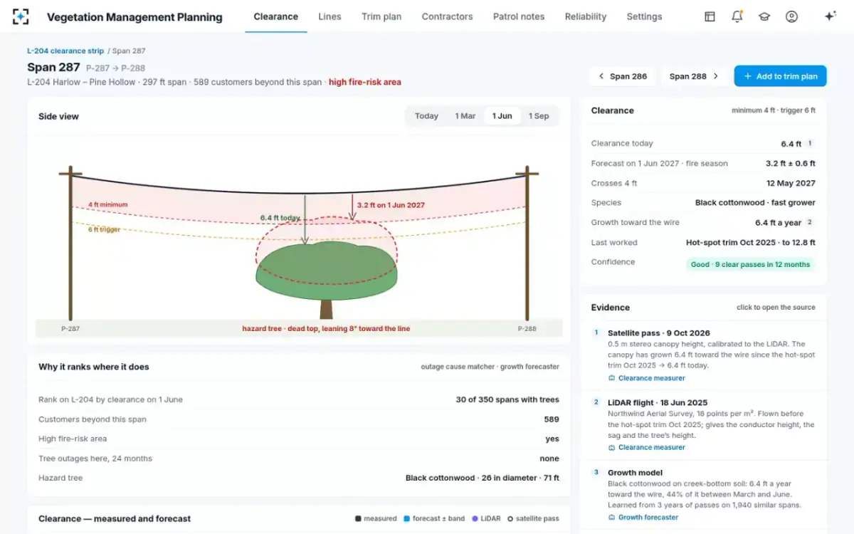 Vegetation Management Planning — One span, today and forecast