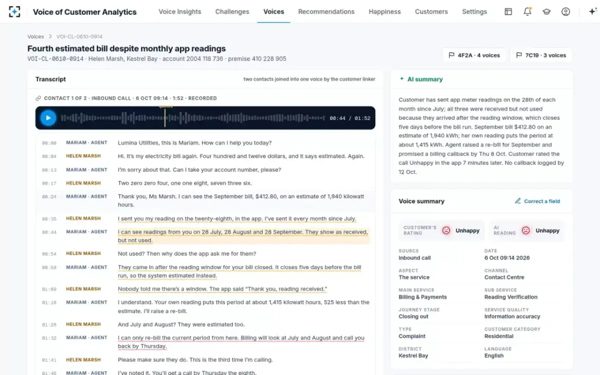 Voice of Customer Analytics — One customer's voice
